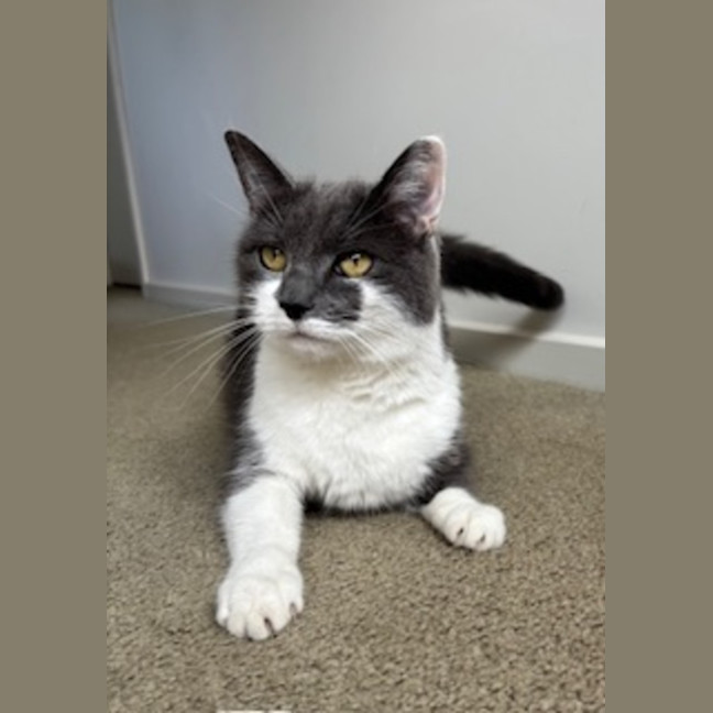 Photo of Sassy Smokey Calls The Shots