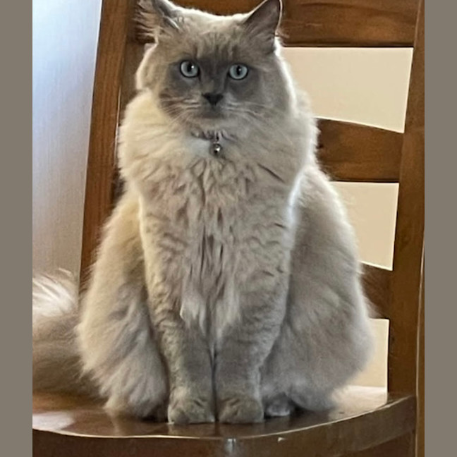 Photo of Charlie