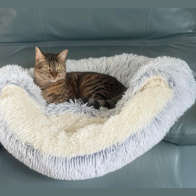 Photo of Honey