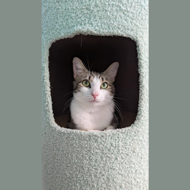 Photo of Sara Bellum