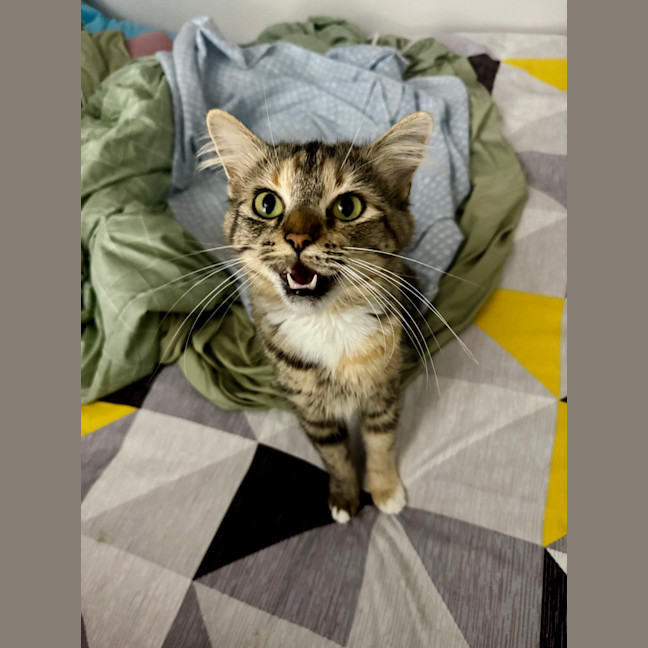 Photo of Samara Mae 