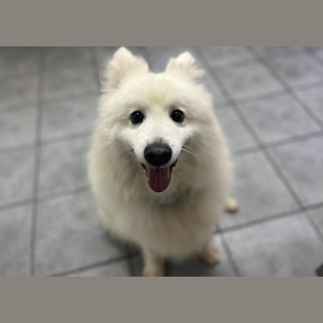 Photo of Muise