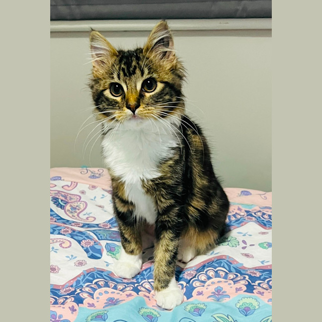 Photo of Morgan   Located In Grantville