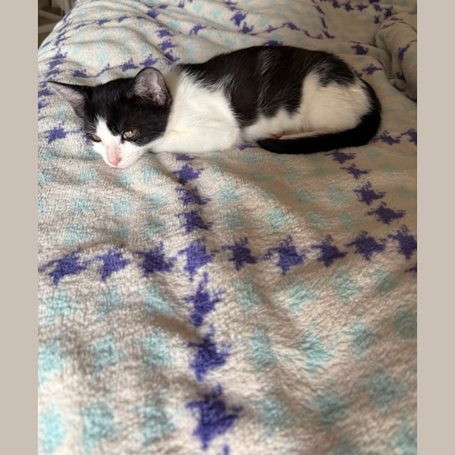 Photo of Minnie
