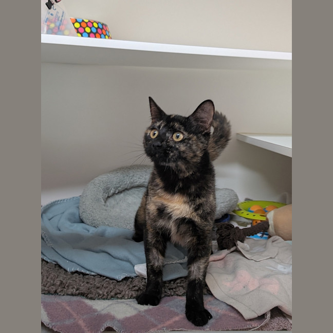 Photo of Agnes