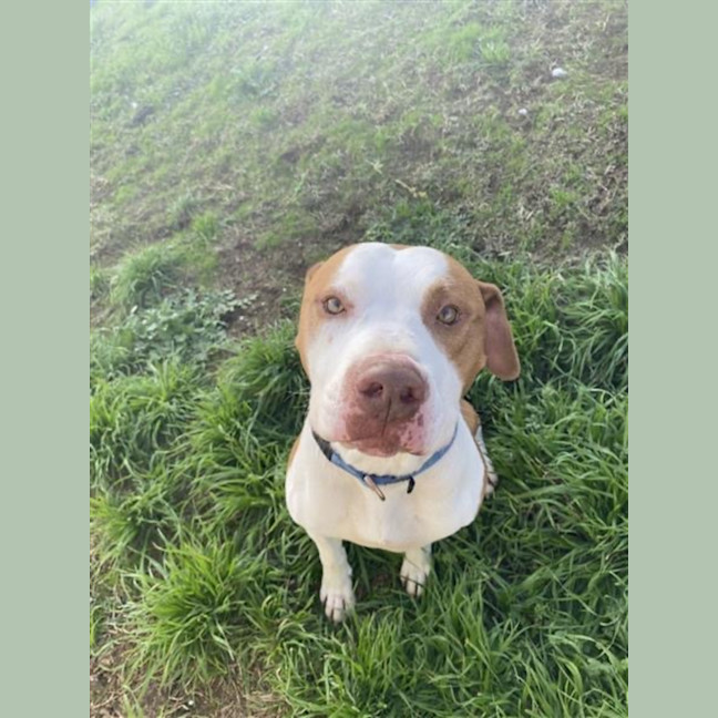 Photo of Thor