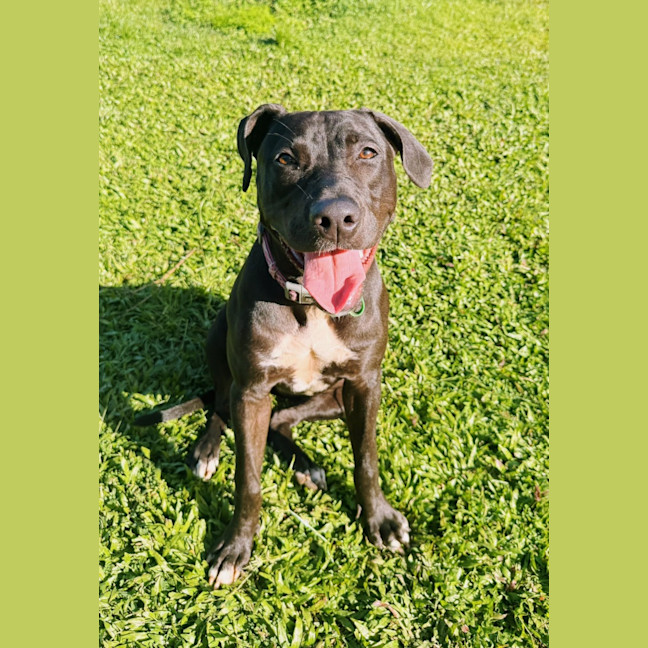 Photo of Marley