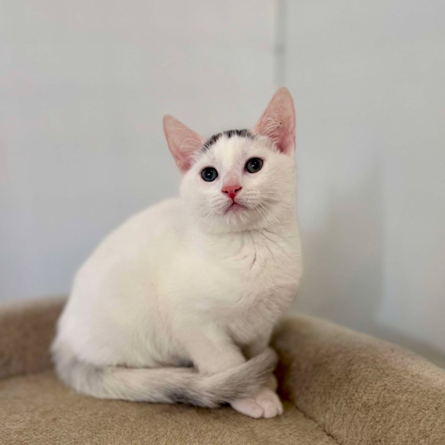 Photo of Tucker   Located In Preston