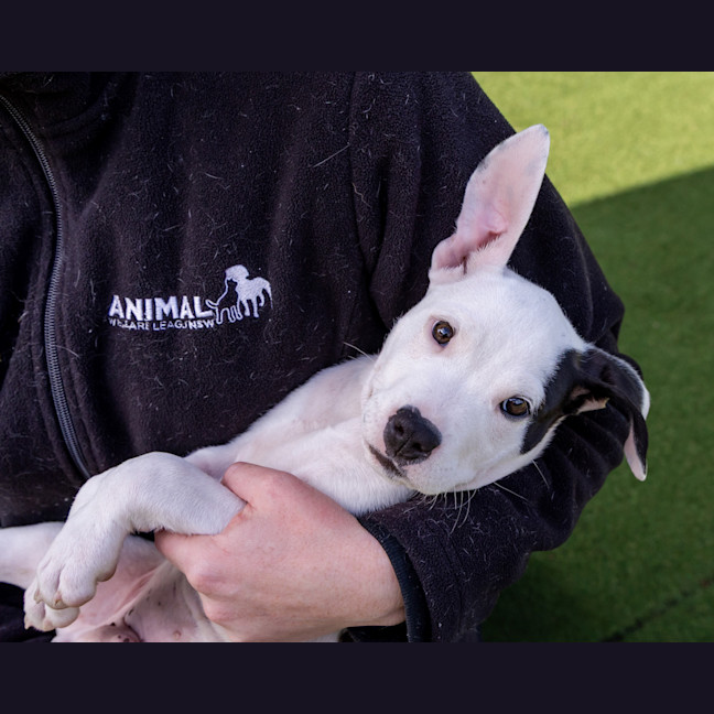 Photo of Fickelgruber