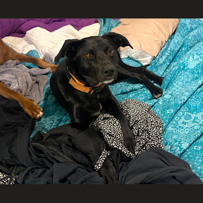 Photo of Max