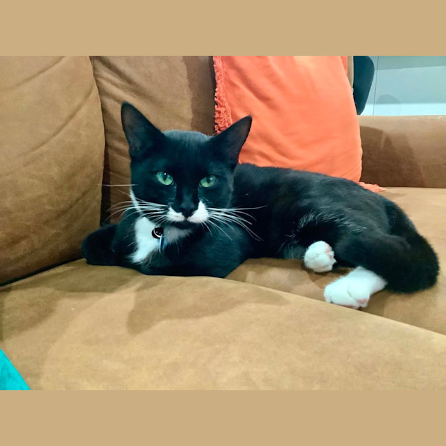 Photo of Buster