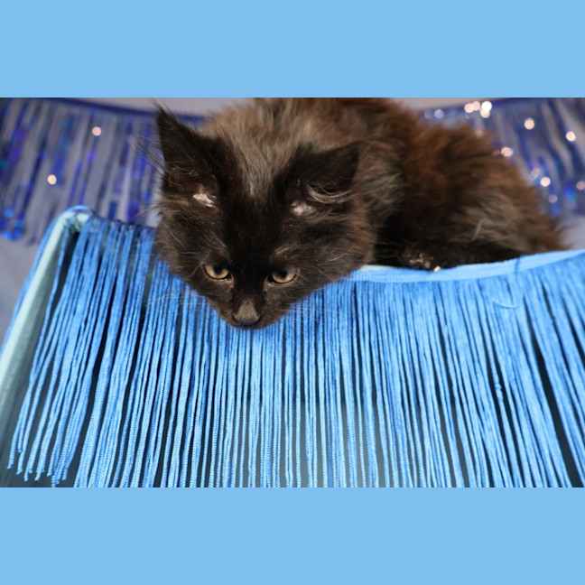 Photo of Electron