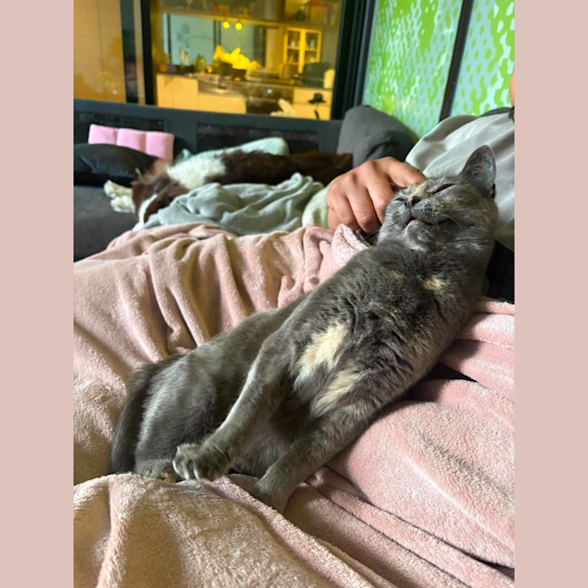 Photo of Luna