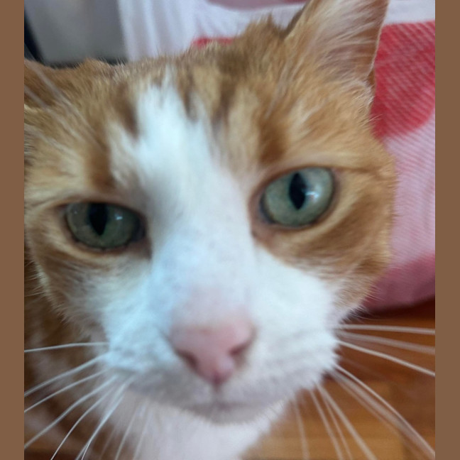Photo of Charlie 