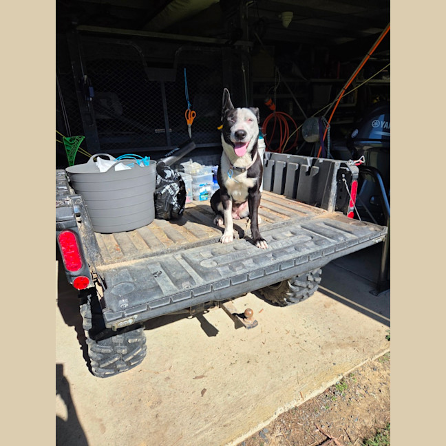 Photo of Annie