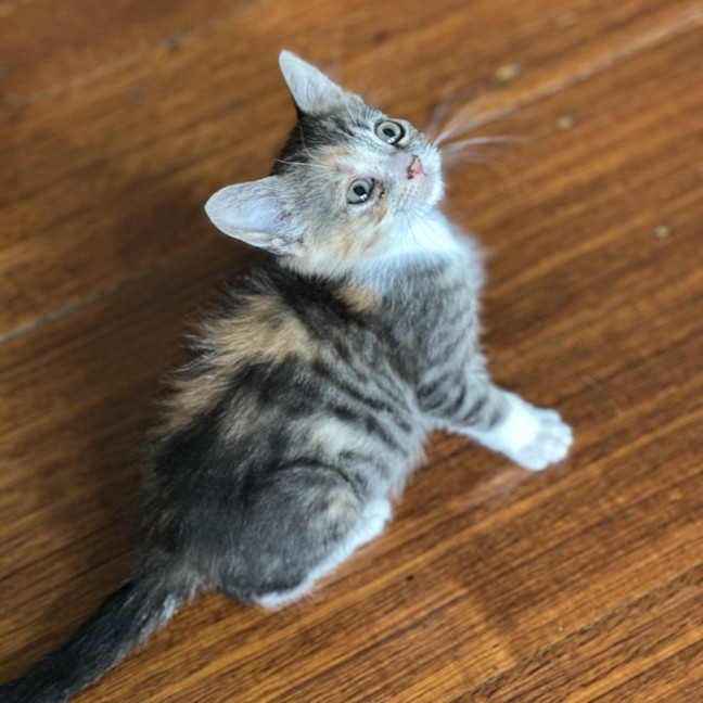 Photo of Zara