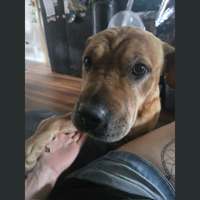 Photo of Sandy