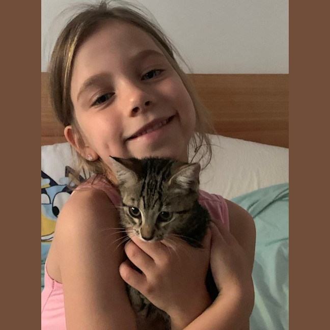 Photo of Licketty Split