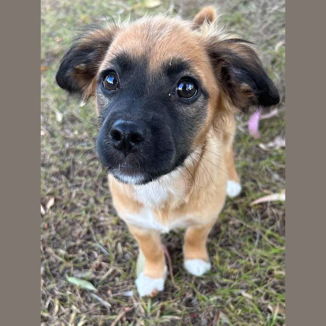 Photo of Maggie