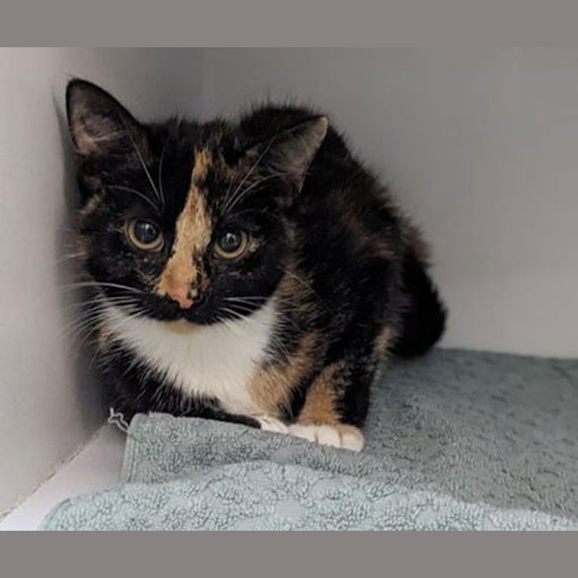 Photo of Olivia