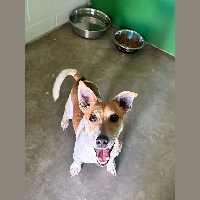 Photo of Finley