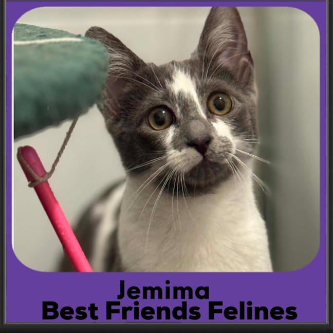 Photo of Jemima 