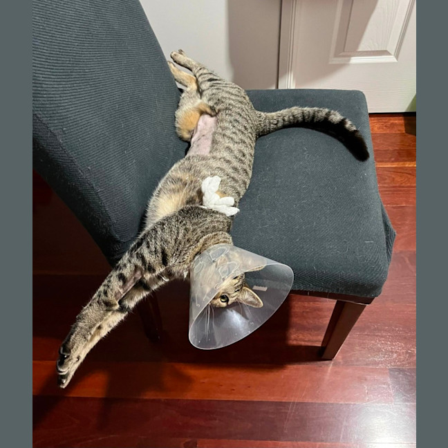 Photo of ❤️ Sarah ❤️`