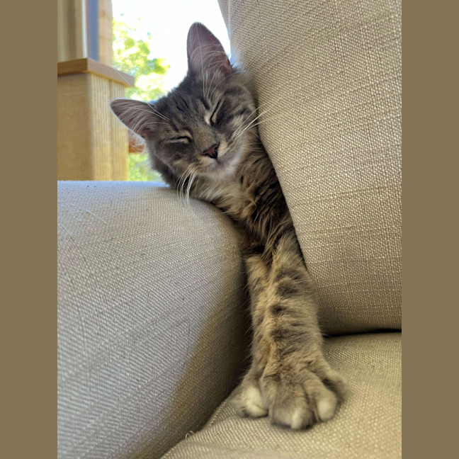 Photo of Wendy