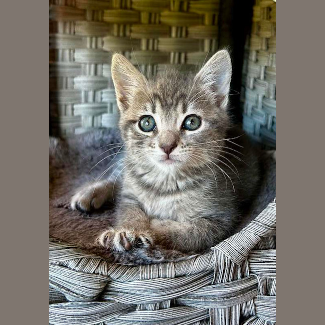 Photo of Asher