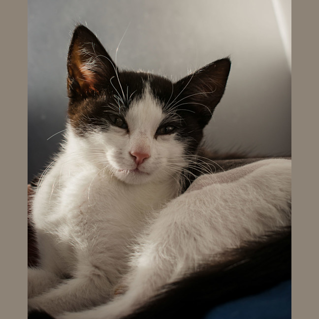Photo of Buttons