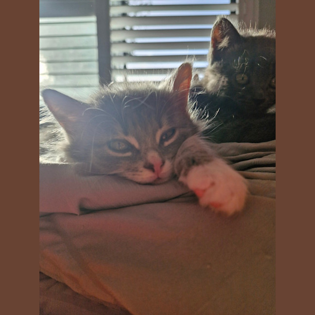 Photo of Tasha