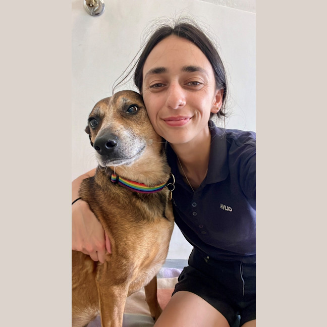 Photo of Tinkerbelle