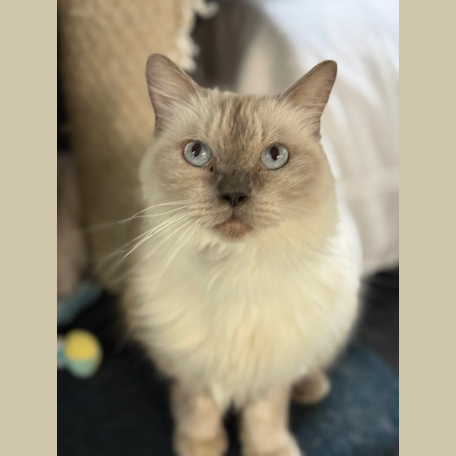 Photo of Nami