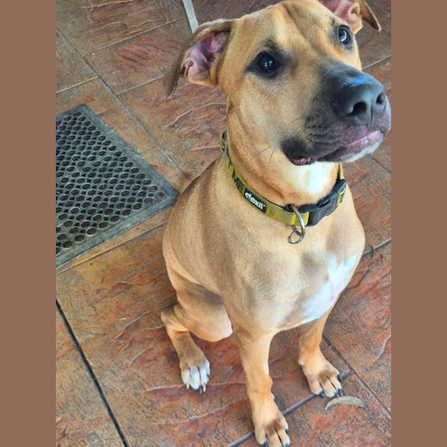 Photo of Zuko