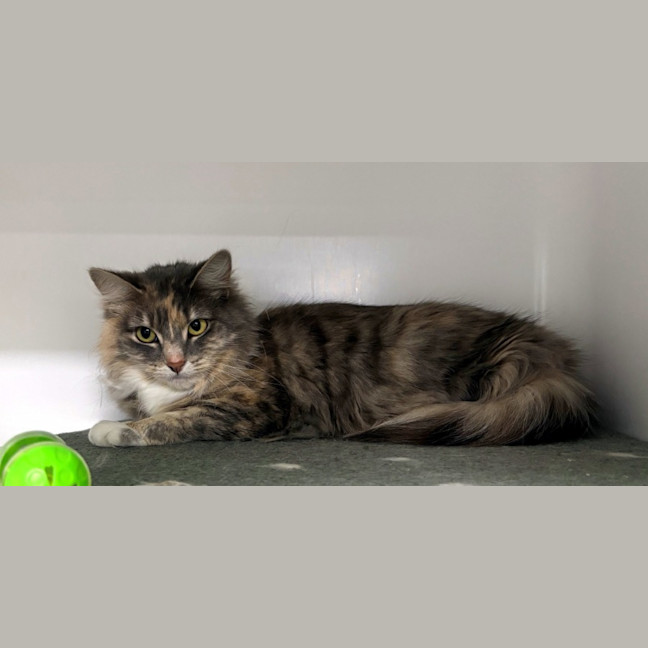 Photo of Beth Sta012910