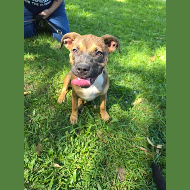 Photo of Coco