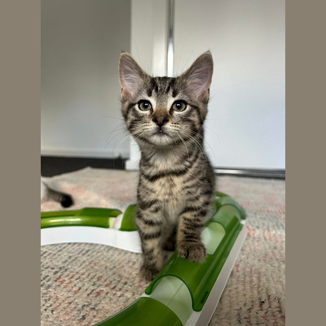 Photo of Jimmy (Was Harry)