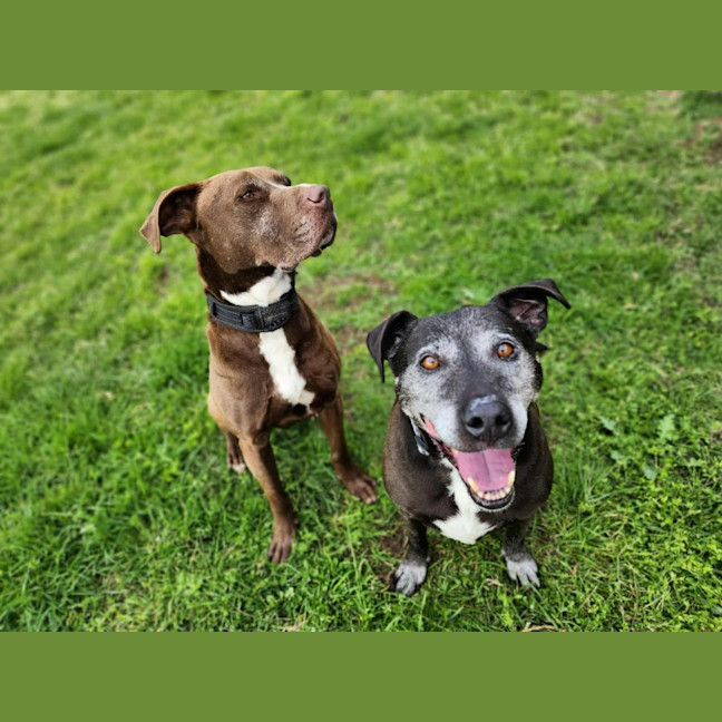 Photo of 🐻 Buster 6375 🐻