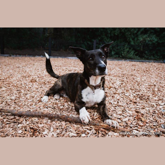 Photo of Oscar And Annika Newhaven