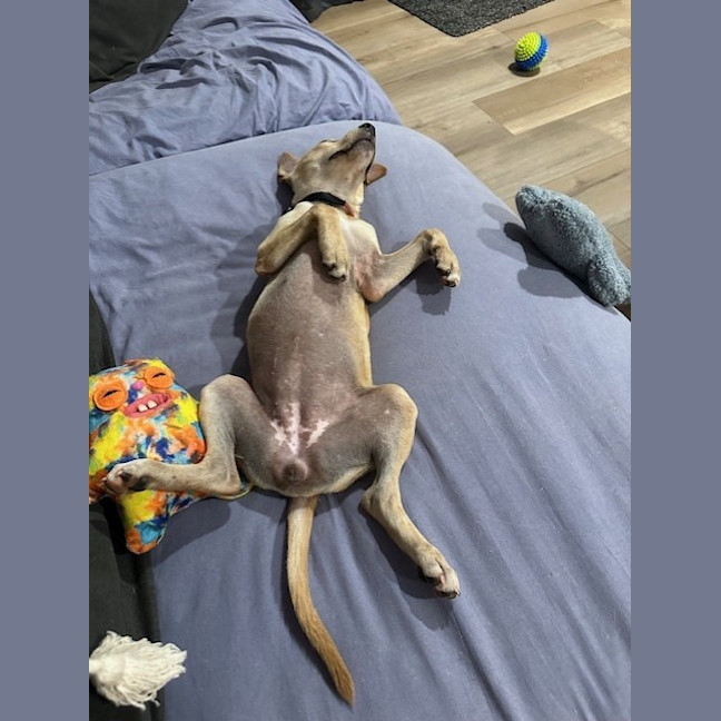 Photo of Kiki