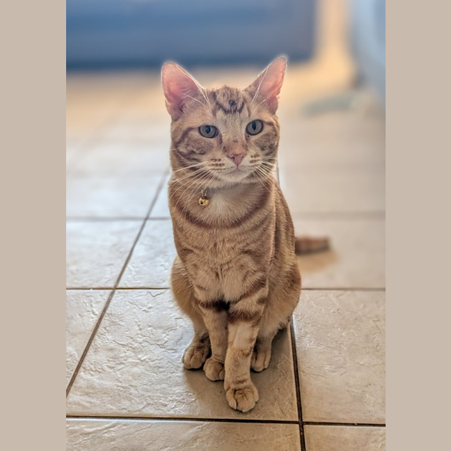 Photo of Popeye
