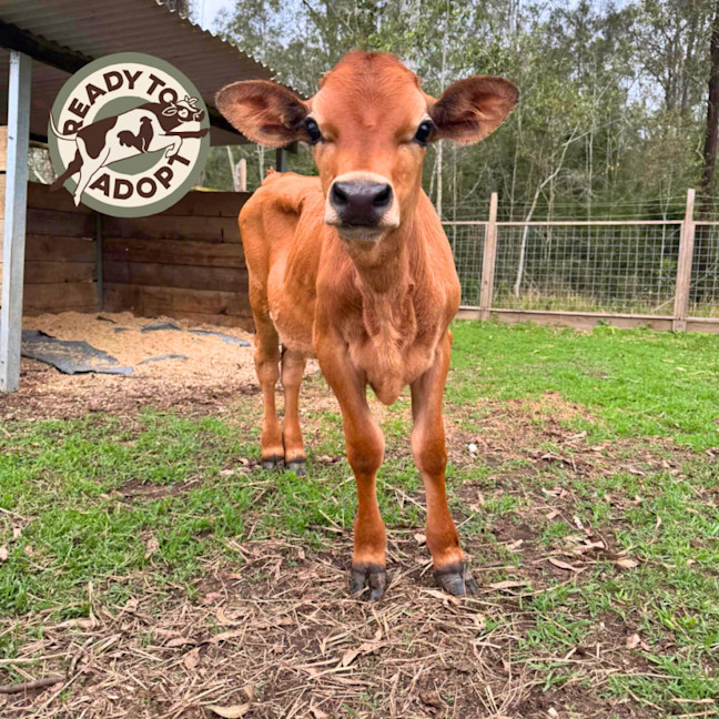 Photo of Bowen & Albert