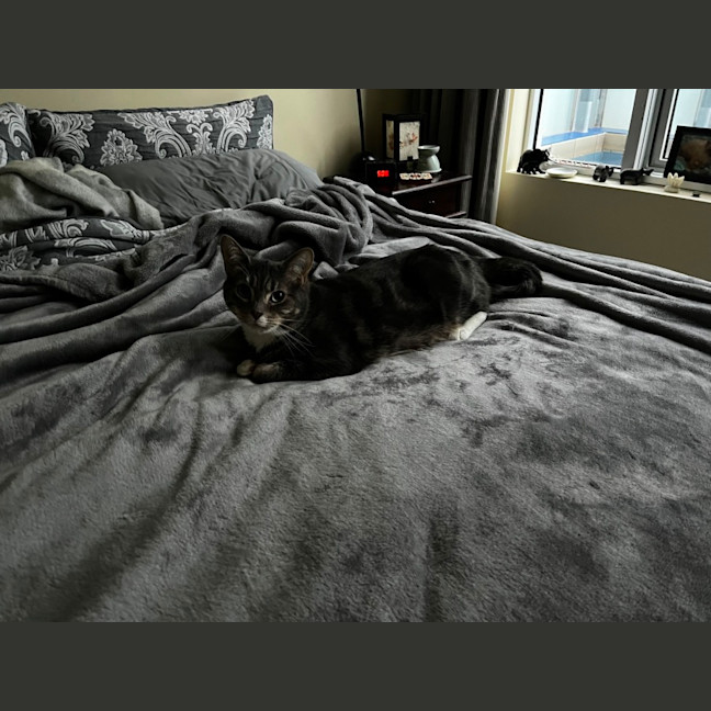 Photo of Quilly Willy