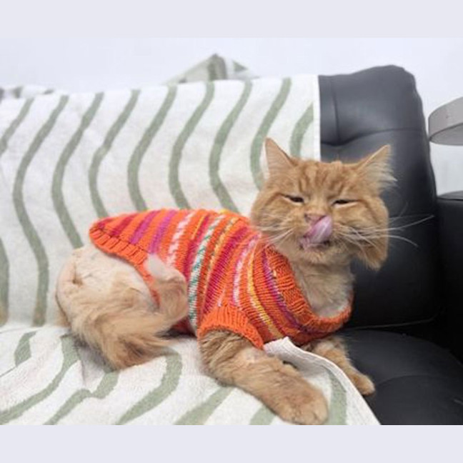 Photo of Calvin