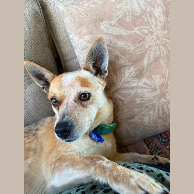 Photo of Rora