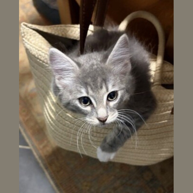 Photo of Aphmau