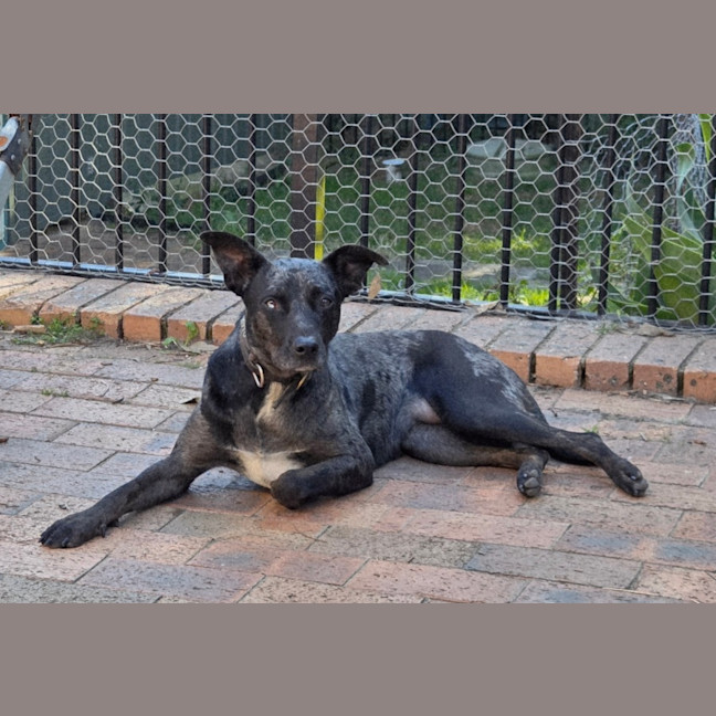 Photo of Luna 