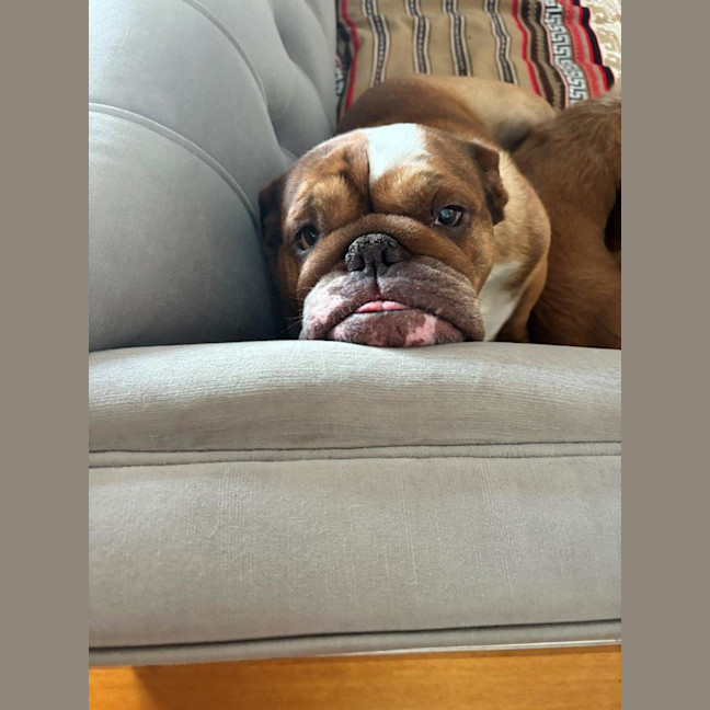 Photo of Sally And Jessie Wensleydale