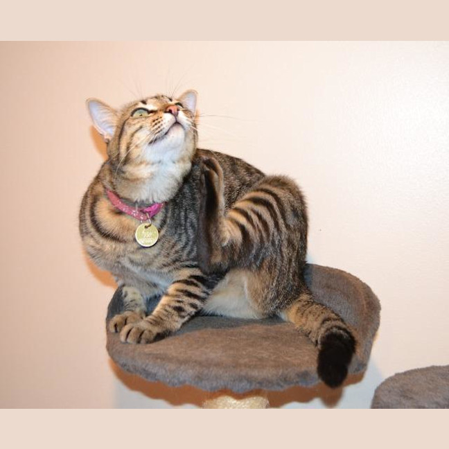 Photo of Kizzie