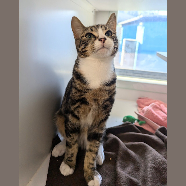 Photo of Finley